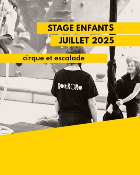 Stage Juillet - Escalade et Cirque