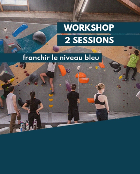 Workshop : 'Franchir le niveau bleu'