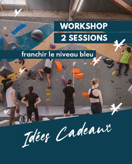 Workshop : 'Franchir le niveau bleu'